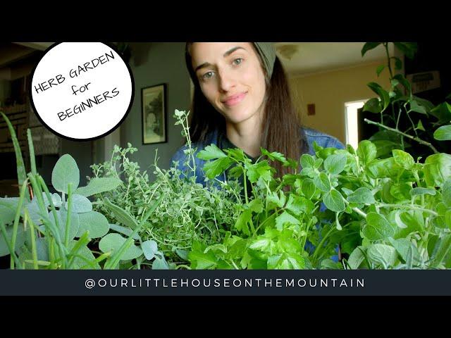 HERB GARDENS BEGINNERS GUIDE || HOW TO || GARDEN BASICS