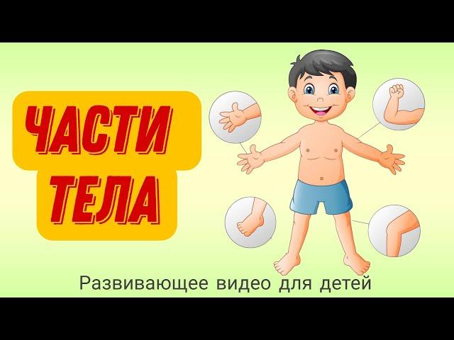 ‍️УЧИМ ЧАСТИ ТЕЛА | Части тела для детей | Развивающее видео для детей