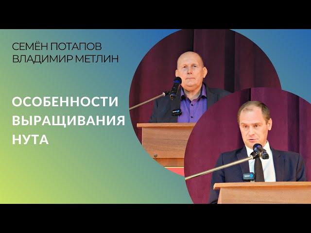 Особенности выращивания нута: сорта, нормы высева, ширина междурядий, обработки