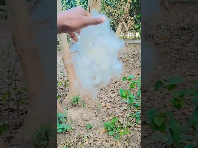 https://youtube.com/shorts/QoYDy_ngBBI?si=gwsKBSVMlne604q1 #nature #villagelife#tranding#viralshort