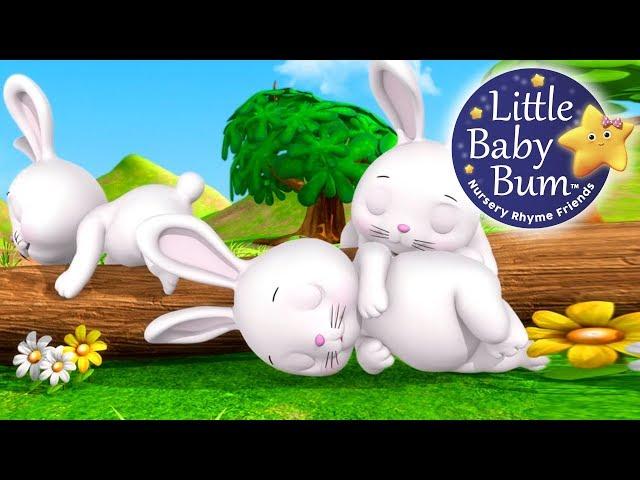 Sleeping Bunnies | Nursery Rhymes for Babies by LittleBabyBum - ABCs and 123s