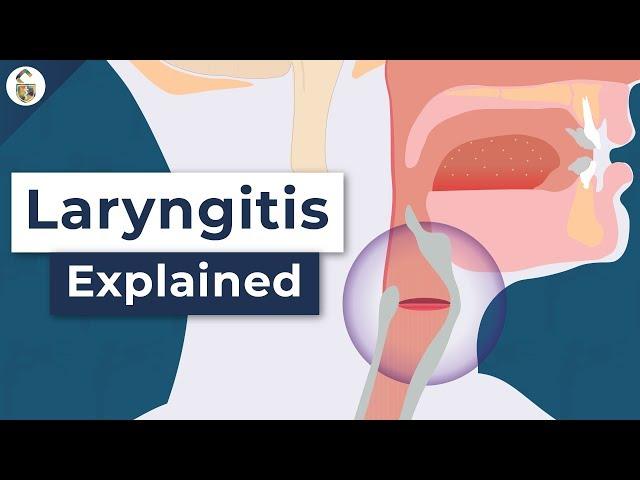 Why Do You Lose Your Voice? - Laryngitis Explained