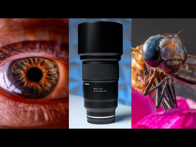 Tamron 90mm F2.8 Macro Review VS Sony VS Sigma - The NEW KING!