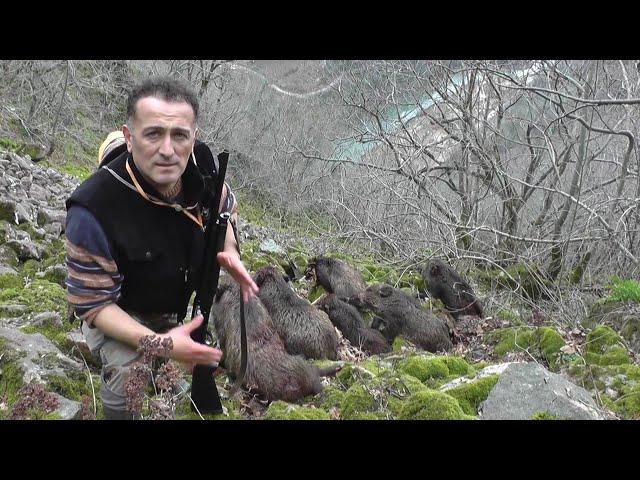 MUHTEŞEM BİR AV / An Amazing Wild Boar Hunt