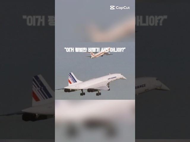 평범한 사진이 아닙니다… #shorts #animation #airplane