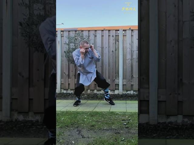 Shaolin shadow fight