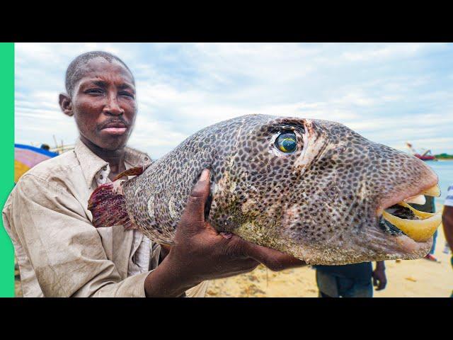 EXTREME African Seafood!!! WILD Tanzania Street Food in Dar es Salaam!!