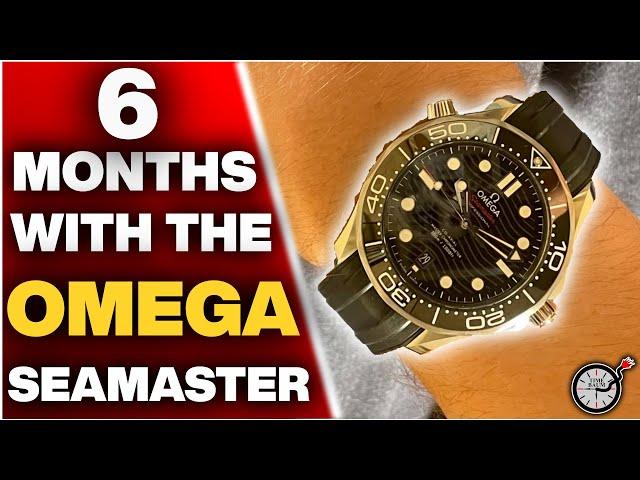 Is the Omega Seamaster still worth it after 6 months on the wrist?