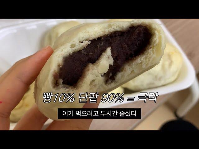 먹방 브이로그 | 롱패딩 믿고 막 먹는 사람 (하트티라미수, 찐빵, 만두, 겨울간식, 디저트먹방, 콘치즈마요, 대패삼겹살덮밥, 집밥먹방, 롤케이크, 땅콩샌드, 폭식, 입터짐)