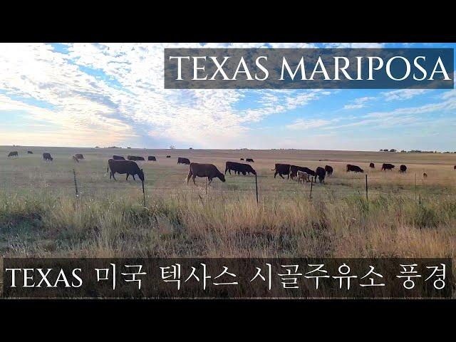 텍사스 마리뽀사_미국 텍사스_시골 풍경_주유소 이야기_여행_시골_Texas Austin_미국의 시골마을 이야기