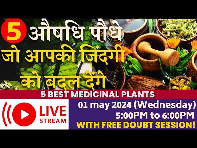 5 ऐसे औषधि पौधे जो आपकी जिंदगी को बदल देंगे || 5 Best Medicinal Plants