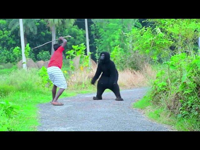 Gorilla Attack Prank || Scary Gorilla Prank on Public - Part 19 || 4 Minute Fun