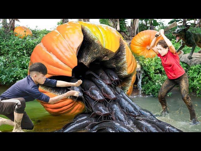 GIANT Pumpkin Exploded with Hundreds of Catfish - What Did the Female Hunter Do Next?