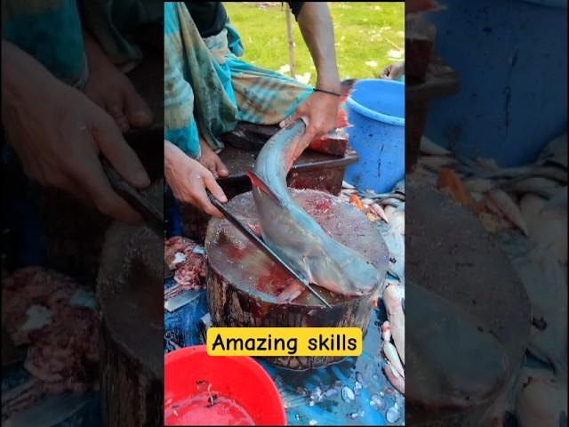 Amazing fish cutting skill live #pangasfish #kasimedu #fishcutting #fishpreparation #katla #shorts