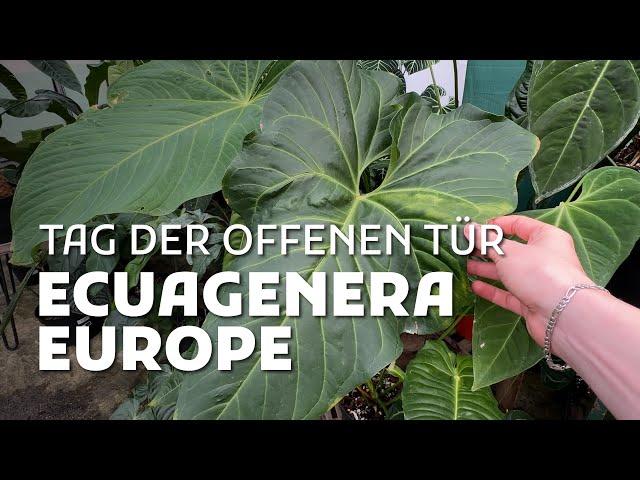 ECUAGENERA EUROPE: Tag der offenen Tür!