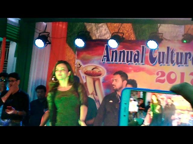 Nabadwip vidyasagar College..Program ..  Koushani.  2018