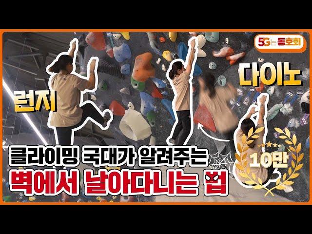 벽 타고 날아다니고 싶나요? 클라이밍 국가대표가 알려드립니다 l 5G는 동호회 EP.16