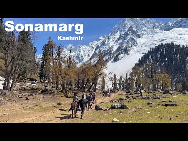 Sonamarg Kashmir | Srinagar To Sonamarg | Thajiwas Glacier | Kashmir Tourism | Manish Solanki Vlogs