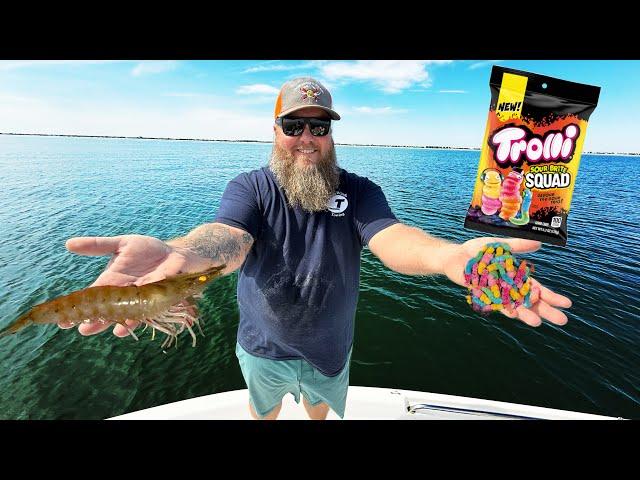 Shrimp VS Gummy Worms BAIT Challenge! | FISH FRY | Catch Clean Cook