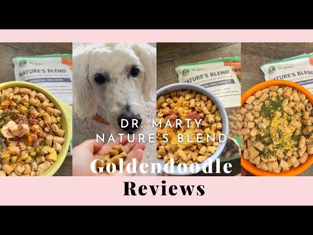 Goldendoodle Reviews Food Dr. Marty Nature's Blend