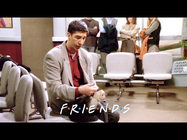 Ross Says Goodbye to Marcel | Friends