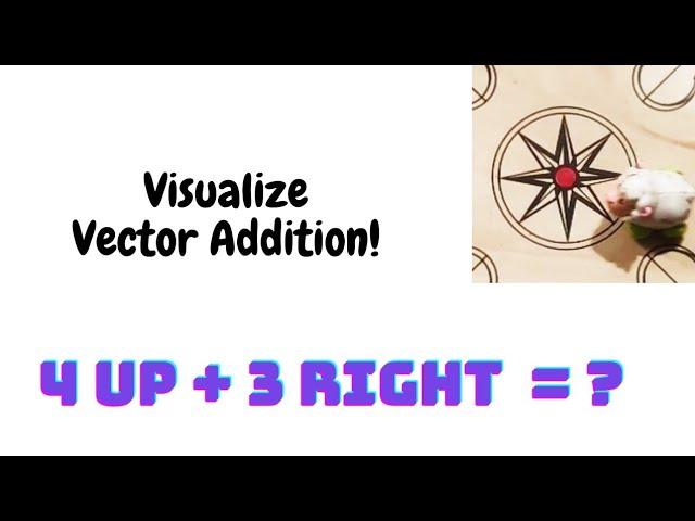 Visualize Vector Addition