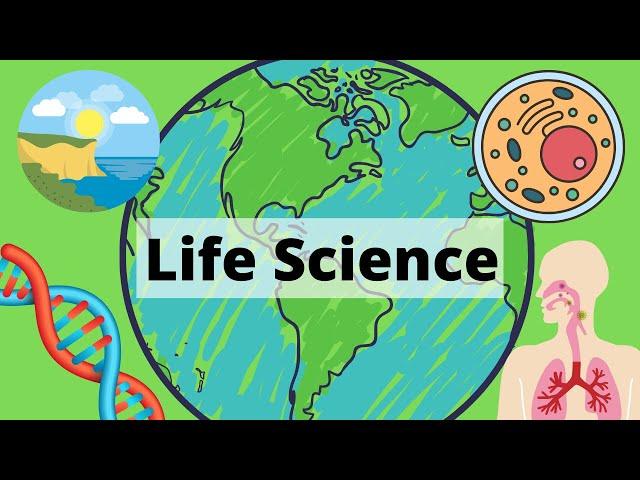 A Year of Life Science in 3 Minutes