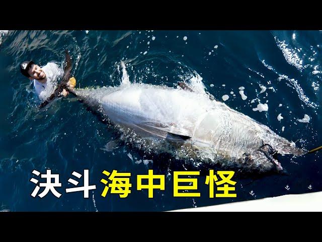 海釣有多魔幻？天價金槍魚被小夥當豬騎，百斤大魚被五歲小孩拿捏