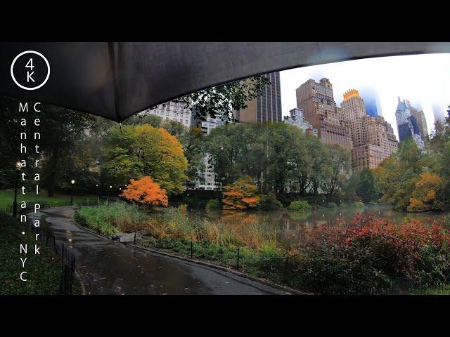 Walking in the Rain in Central Park in Manhattan, New York 4K - NYC Nature Rain Sounds ASMR