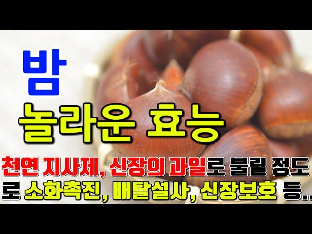 밤의 놀라운 효능 8가지 & 부작용 / "영양만점, 밤의 비밀: 건강과 활력을 찾아서"