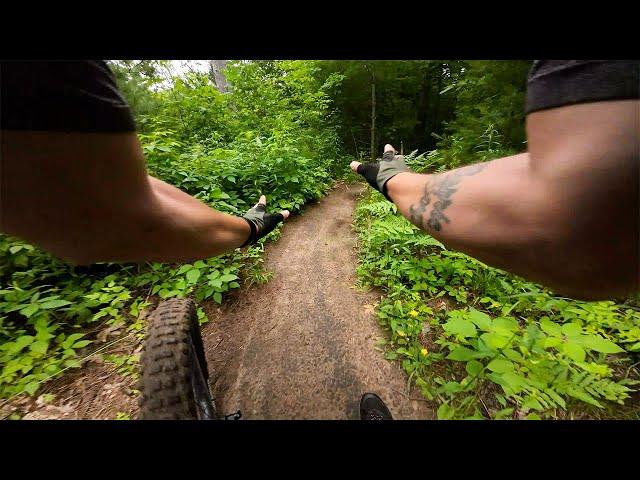 Hitting Stumps on Silver Creek Severn MTB Track