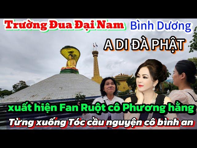 xúc động chị gái xuống Tóc cầu nguyện Cô nguyễn Phương hằng bình an Đã Thành hiện thực