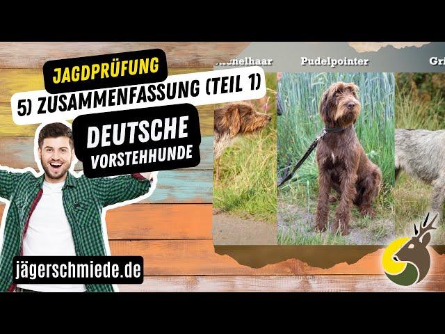 5) Deutsche Vorstehhunde (Teil 1) - Zusammenfasung -  Wissen für deine Jagdprüfung