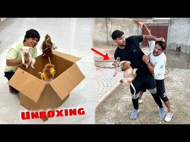 Mamu Or Inzi Ki Larai Ho Gai  Mystery Box Unbox Kr Dea 