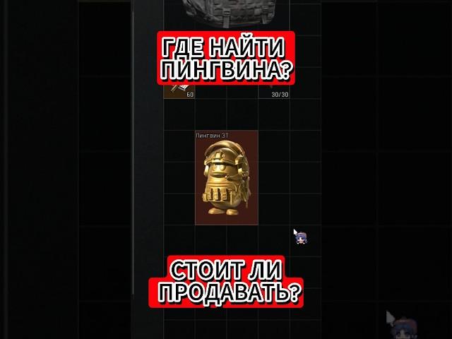 ГДЕ НАЙТИ ПИНГВИНА? Зачем он нужен #arenabreakoutinfinite #аренабрекаутновыйгод #arenabreakoutpc