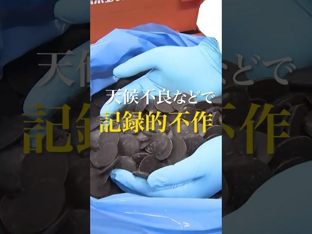 【カカオ豆が高騰“銅”を上回る】 チョコ値上げ　西アフリカなどの産地で不作が影響 #shorts