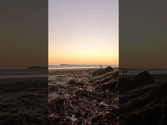 Beach Sunset  #shorts #melbourne #beach #summer