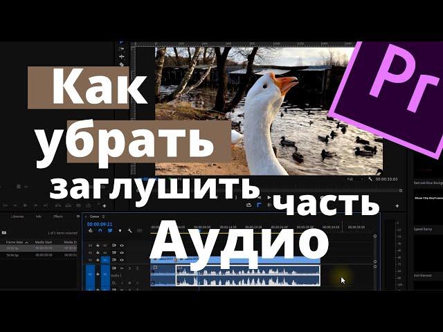 Как убрать, заглущить часть Аудио в Premiere Pro