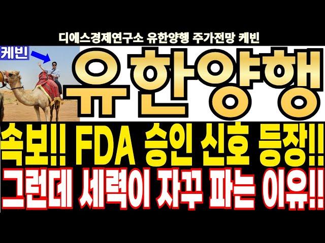 유한양행 주가전망] 속보!! FDA 승인 신호 등장!! 그런데 세력이 자꾸 파는 이유!! feat.디에스경제연구소 케빈