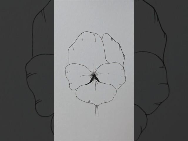 #꽃그리기 #펜드로잉 #펜화 #그림 #어반스케치 #아트 #꽃일러스트 #식물드로잉 #아트 #소묘 #손그림 #쉬운그림 #따라그리기 #flowerdesign #flowerdrawing