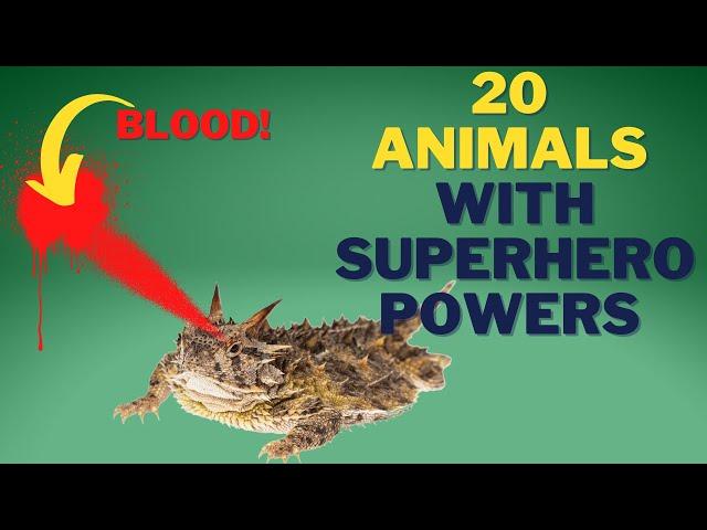 20 Animals With Superpowers That Will Blow Your Mind!