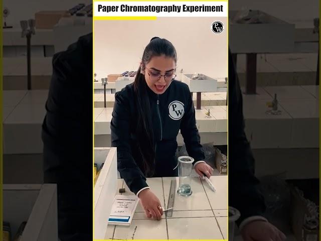 Check Here Paper Chromatography Experiment  #Shorts #PhysicsWallah