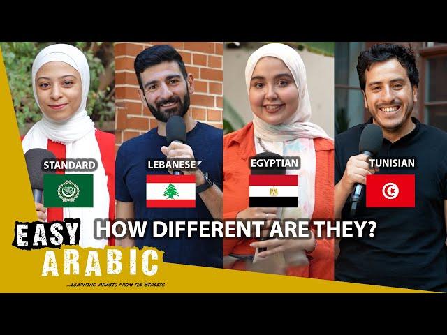 Lebanese vs. Egyptian vs. Tunisian vs. Standard Arabic: a dialect comparison | Easy Arabic 2