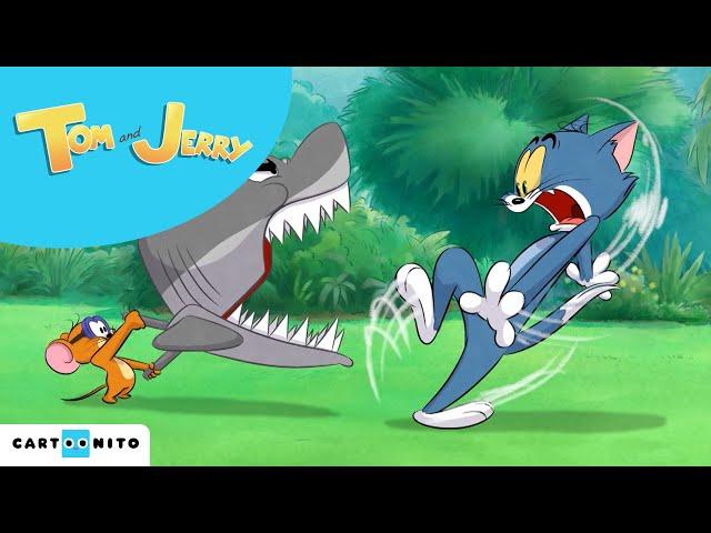 Pêche dangereuse | Tom & Jerry #Nouveau dessin animé