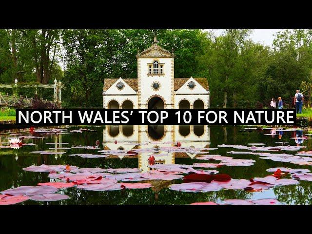 10 best things to do in North Wales