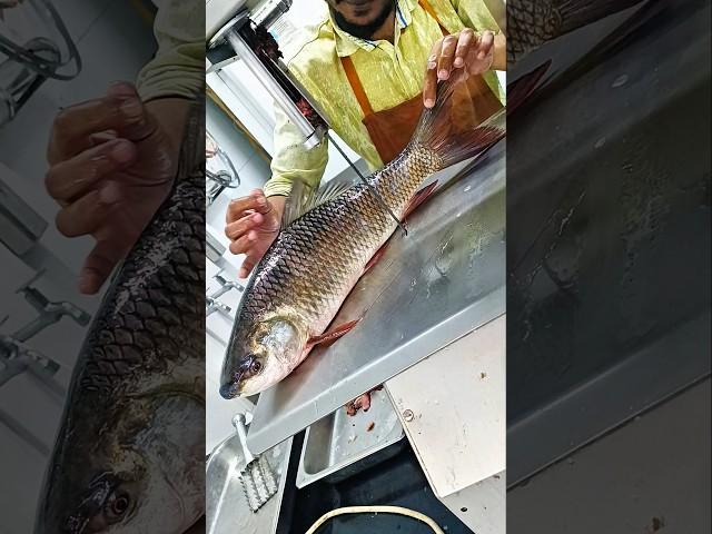 Amazing super fresh live giant catla carp fish sea fish cutting skills #fish_laver #shorts #fishing