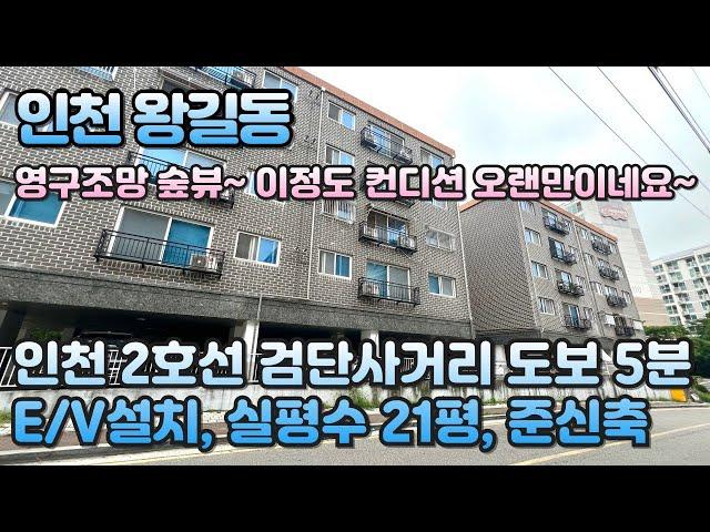 번호B-305)실평수 21평 대지12평 엘베설치 준신축 인천2호선 검단사거리역 도보3분 초역세권 인천 서구 왕길동 빌라 매매