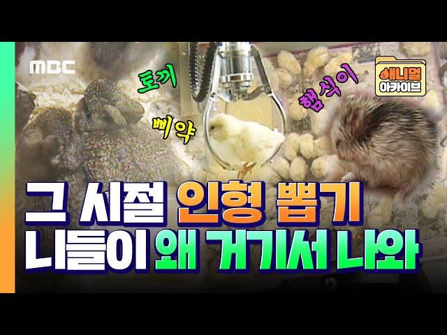 [애니멀 아카이브] ENG 그 시절 인형 뽑기 클라스, 니들이 왜 거기서 나와 | Animal Archive ,Chick, Hamster, Rabbit, Claw machine