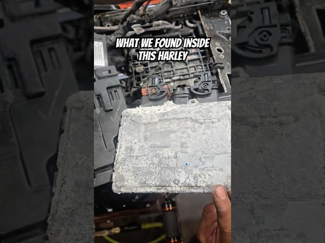 We Got a Surprise When We Ripped this Flooded Harley-Davidson Apart