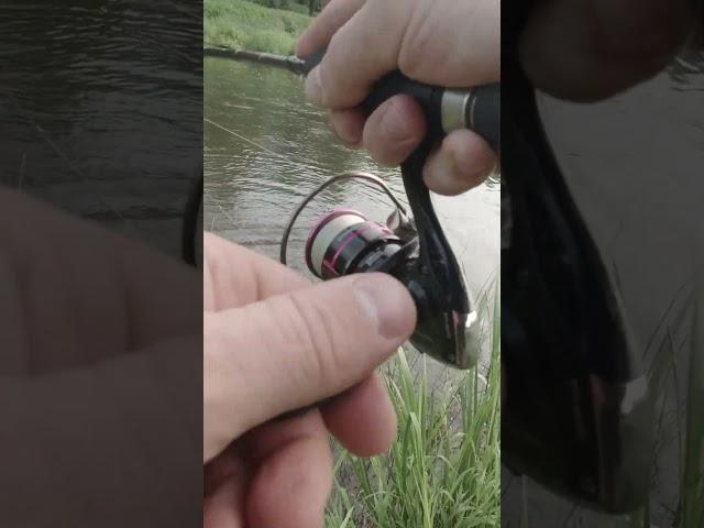 Классный ГОЛАВЛЬ #рыбалка #голавль  #fishing